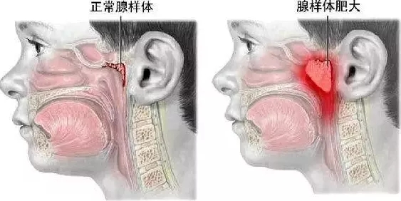 微信图片_20220513163525.png