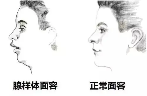 微信图片_20220513163515.png