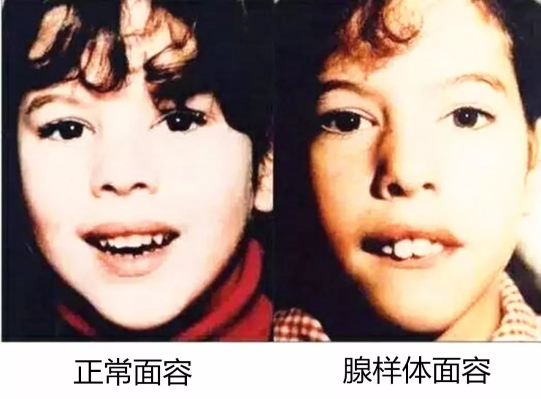 微信图片_20220513163528.png