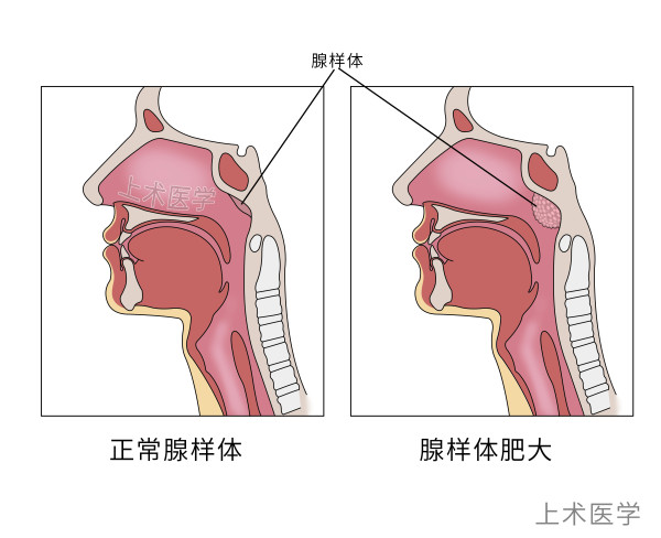 微信图片_20220812161605.png